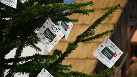 Close-up of some of the wish slips hanging on the wish tree.