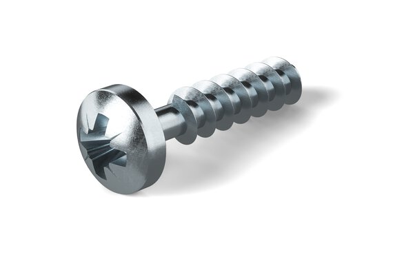 AMTEC® screw – B 52004.