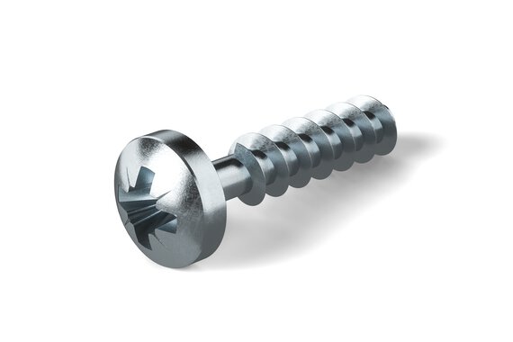 AMTEC® screw – B 52004.
