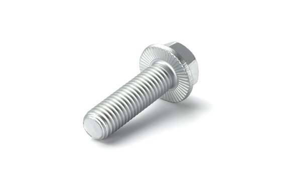 Imagen de producto de un tornillo de seguridad RIPP LOCK®.