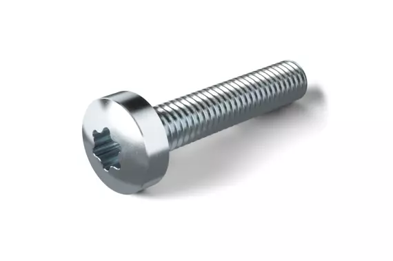 Thread-rolling and thread-cutting screw (DIN 7500 C)