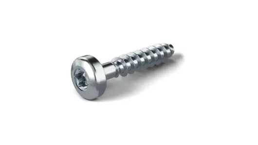 Hình ảnh sản phẩm của vít EJOT DELTA PT®