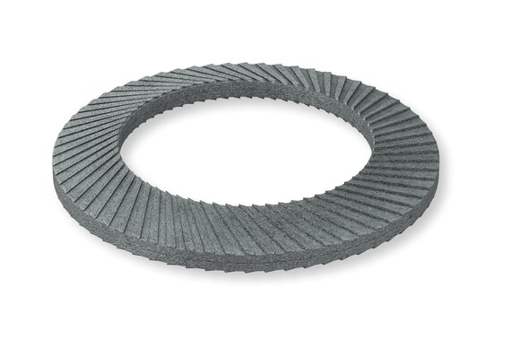 Lock washers (B 53070).