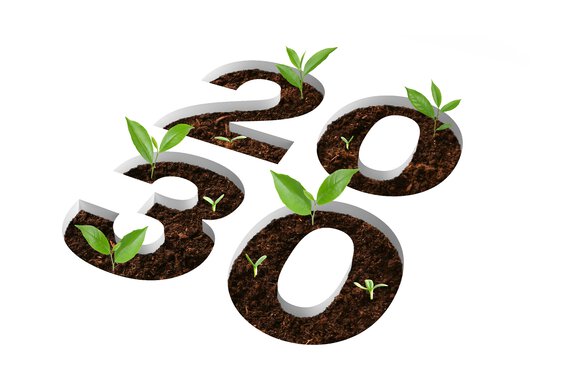 Several plants grow out of the number 2030.