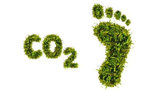 L'herbe bien verte, l'empreinte CO2 stylisée