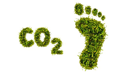 A footprint next to a CO2, both made from green grass.