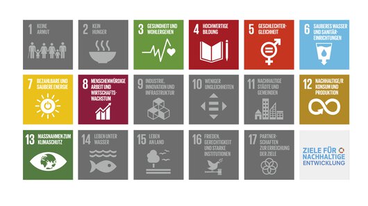 Eine Übersicht der Sustainable Development Goals der Vereinten Nationen