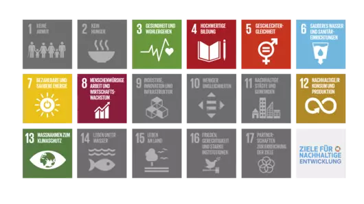 An overview of the United Nations Sustainable Development Goals