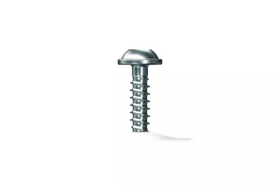 Hình ảnh sản phẩm của vít EJOT DELTA PT® DS